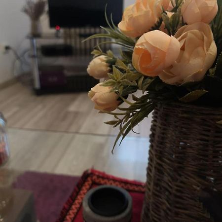 Appartement Deea Apartament à Craiova Extérieur photo