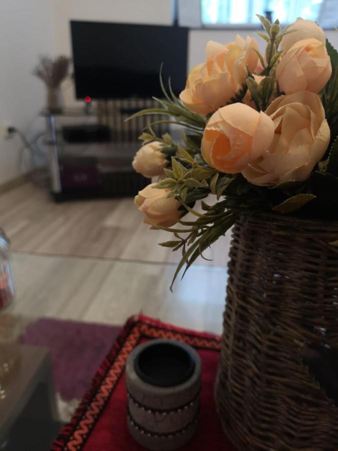 Appartement Deea Apartament à Craiova Extérieur photo