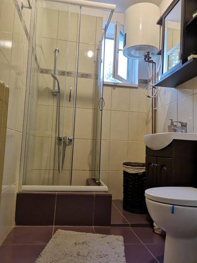 Appartement Deea Apartament à Craiova Extérieur photo